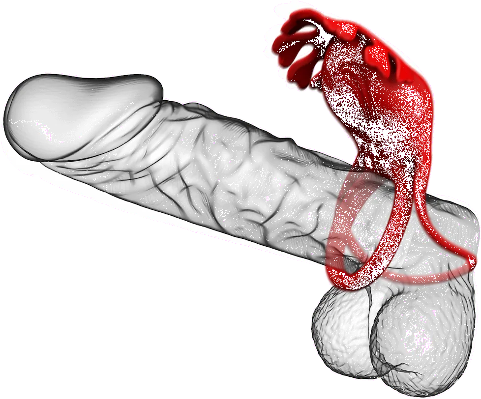Vibračný krúžok Pretty Love Vibrant Penis Ring – Obrázok 7