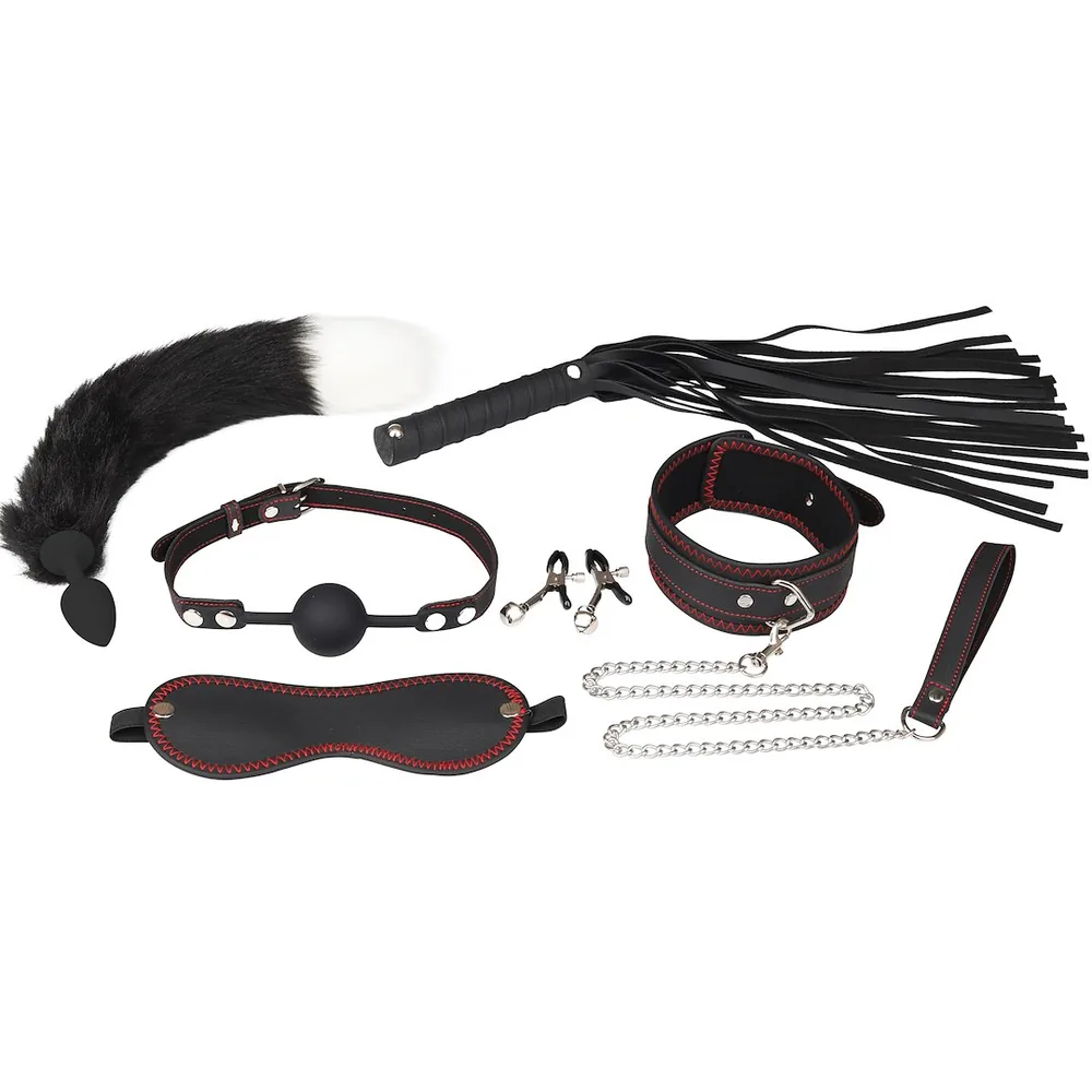 Sada BDSM 7 produktov Erospace Wild Play C8 – Obrázok 4